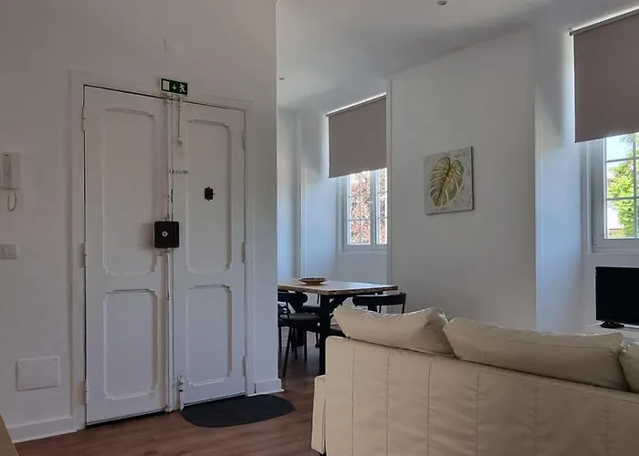 Lightoasis 8 오이라스